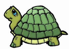 Shelly